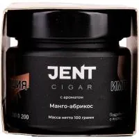 Табак Jent Cigar 100г Манго Абрикос M