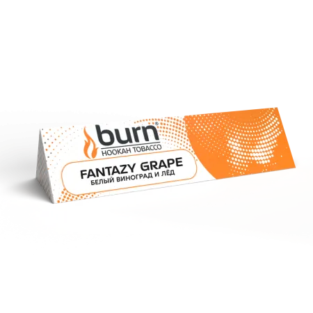 Купить Табак Burn 25г Fantazy Grape М